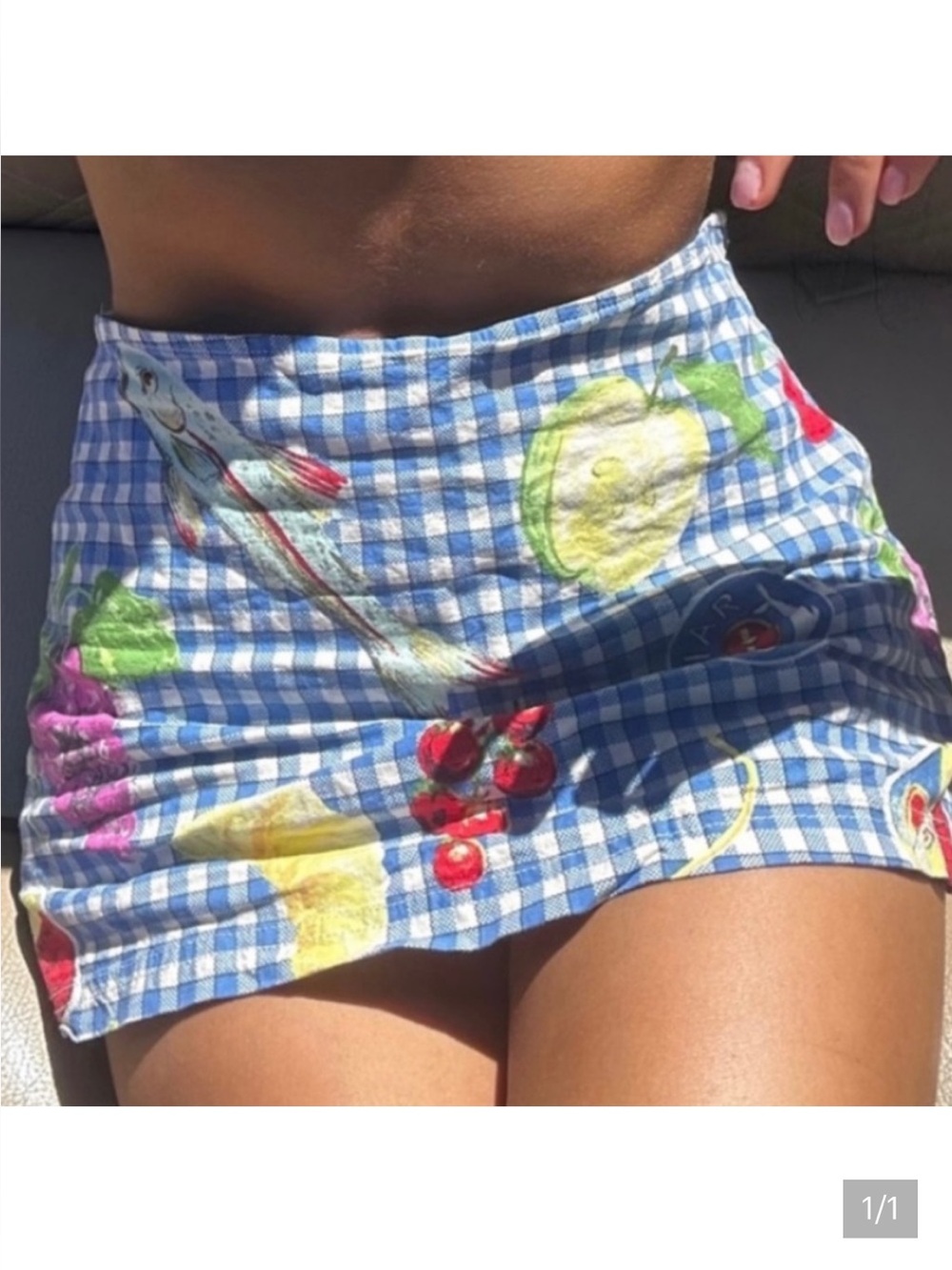 Urban Outfitters Blue Gingham Mini skort with Fruit Print picnic skirt pasta
